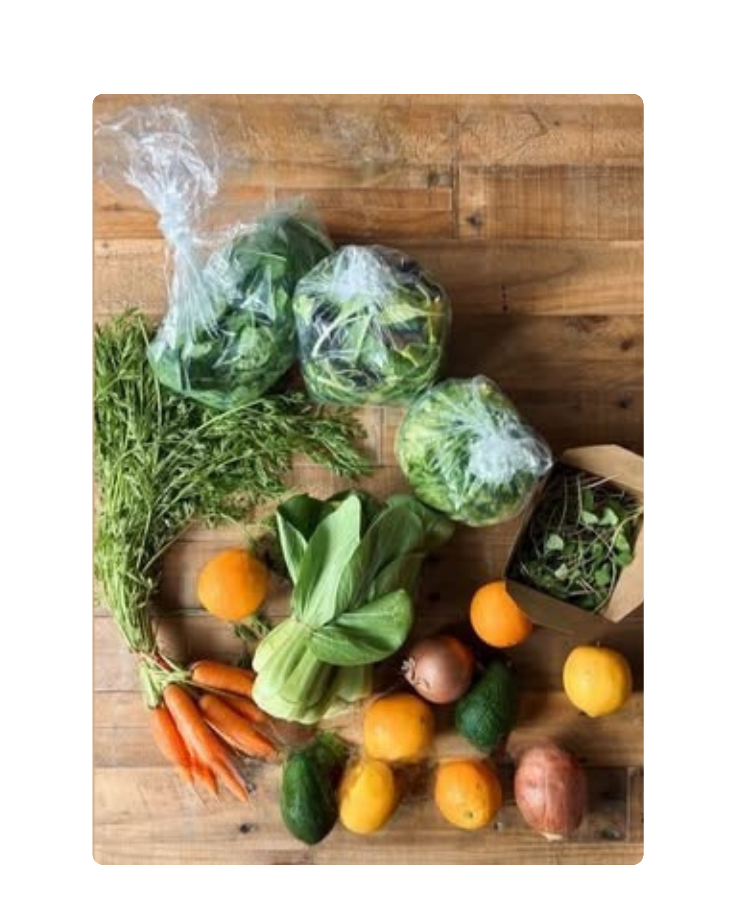 Cardiff Tiny Farm CSA boxes