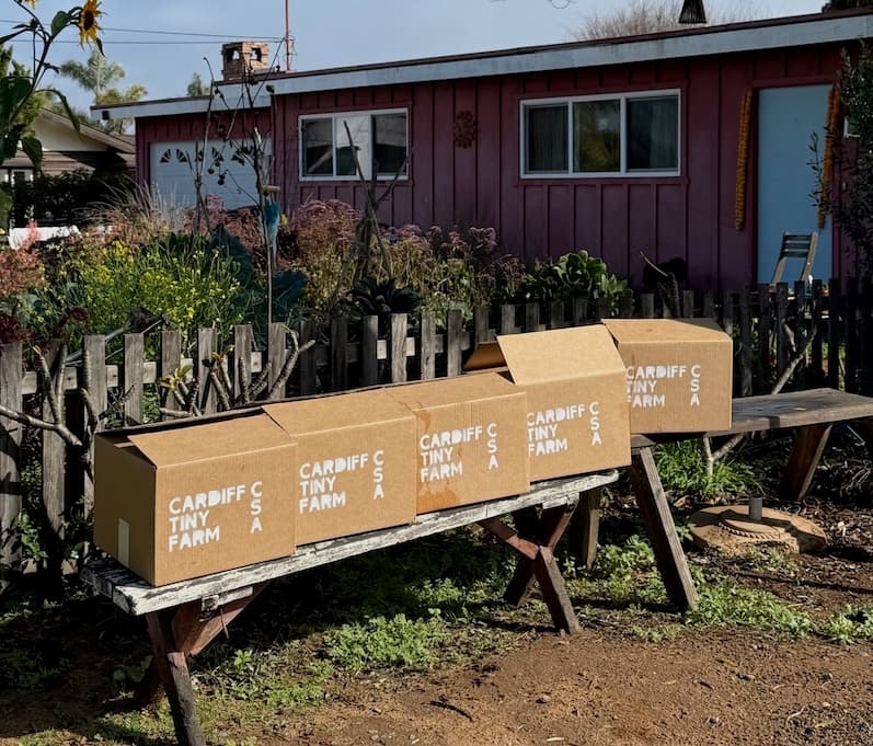 CSA boxes at Cardiff Tiny Farm